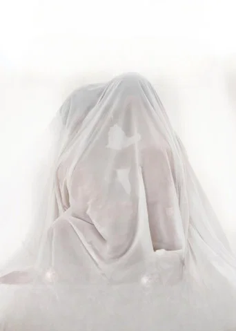Carpanzano's LGBTQIA+ Collection