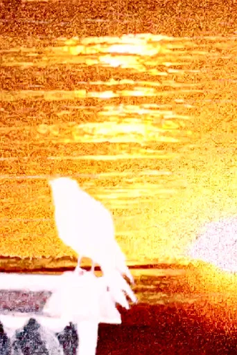 Poraí