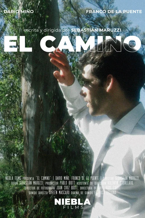El camino постер