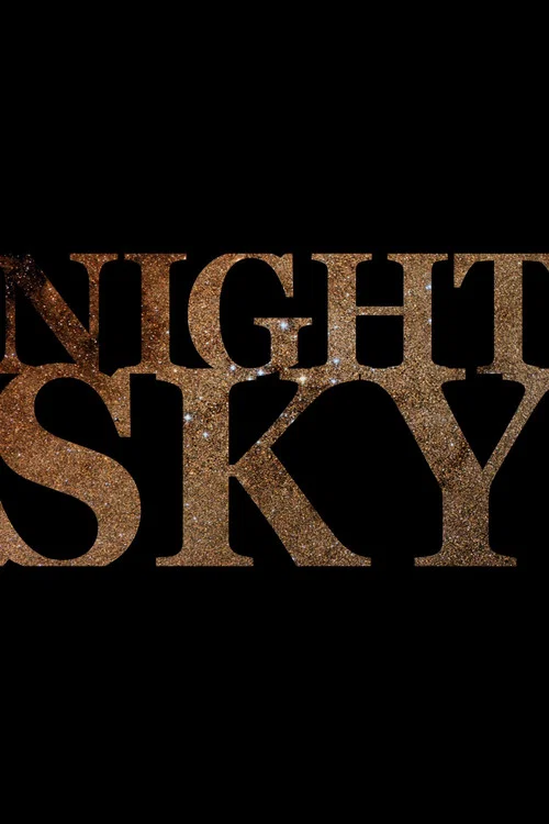 Night Sky постер