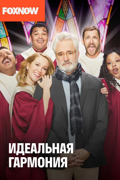 Идеальная гармония постер