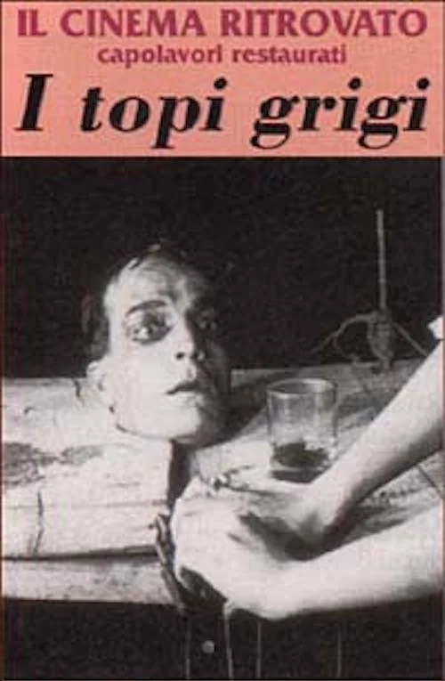 I topi grigi постер