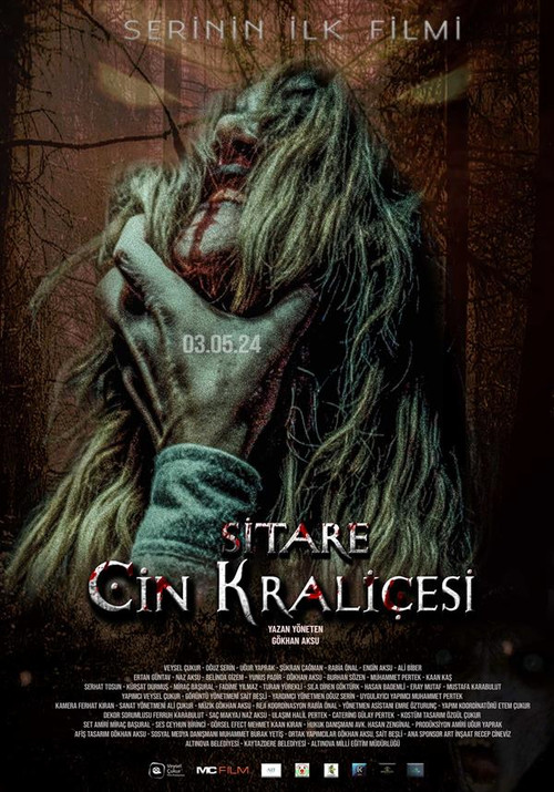 Sitare: Cin Kraliçesi постер