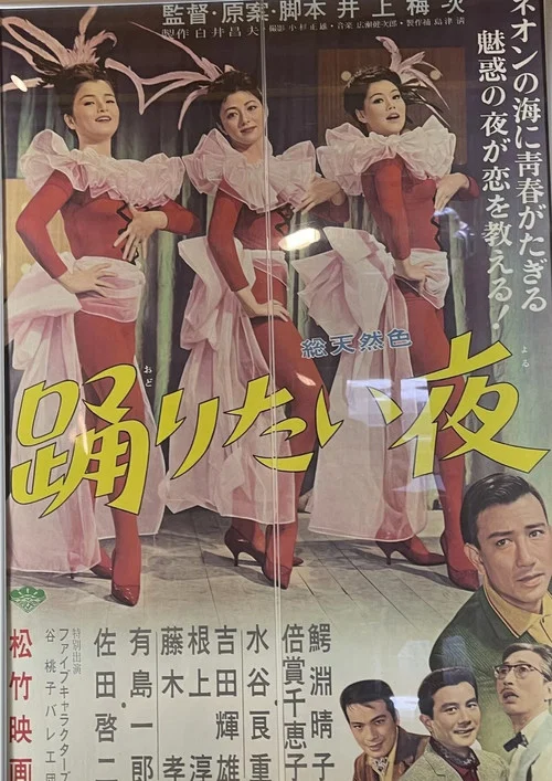 踊りたい夜 постер