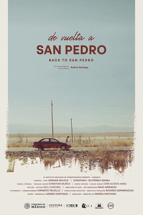 De vuelta a San Pedro постер