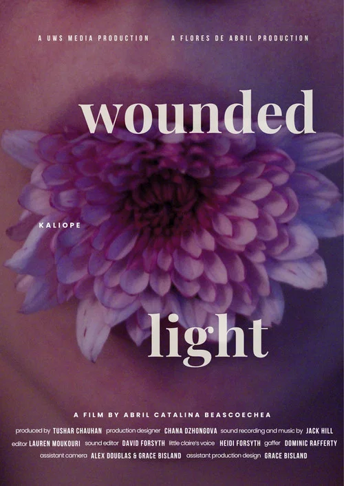 Wounded Light постер