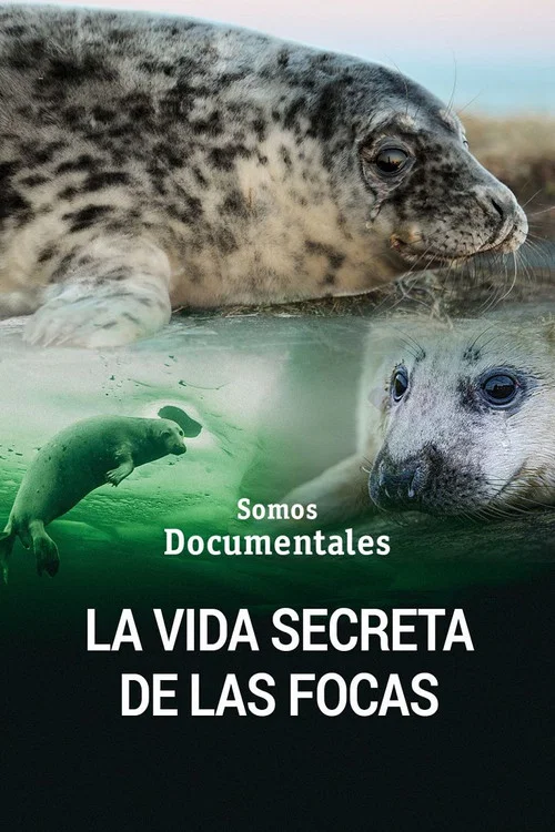 The Secret Life of the Seal постер