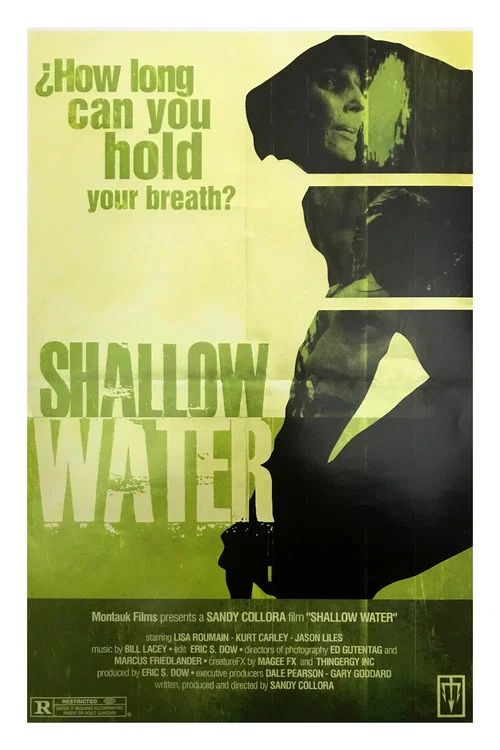 Shallow Water постер