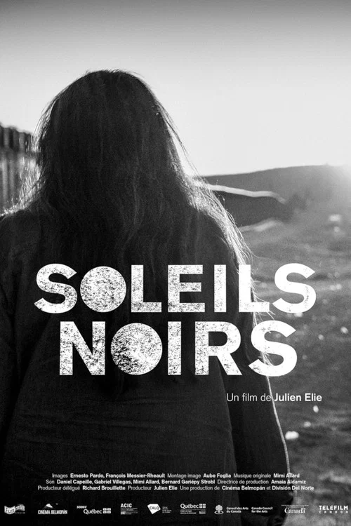 Soleils noirs постер
