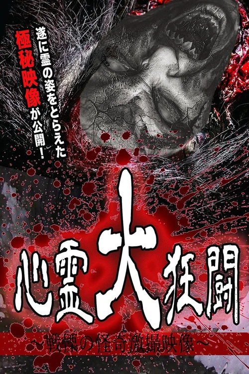 心霊大狂闘 ～戦慄の怪奇激撮映像～ постер