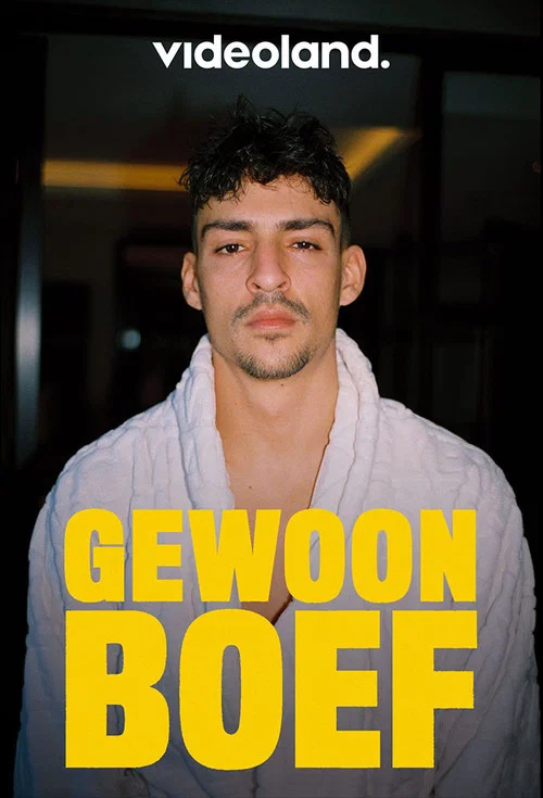 Gewoon Boef постер