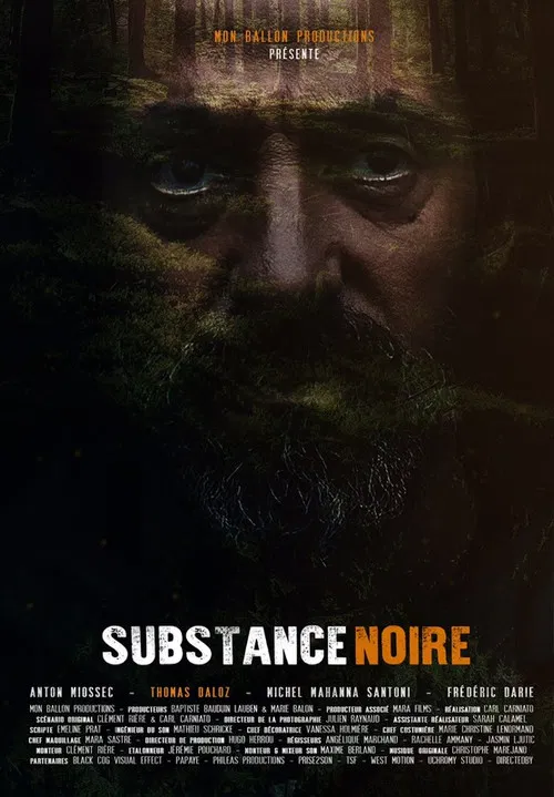 Substance noire постер