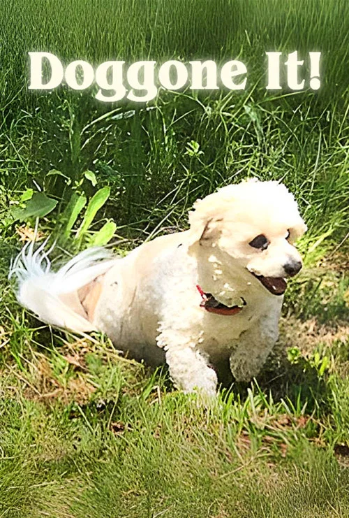Doggone It! постер