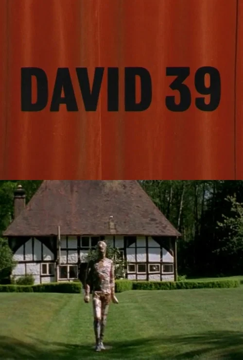 David 39 постер