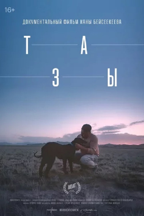 Тазы постер