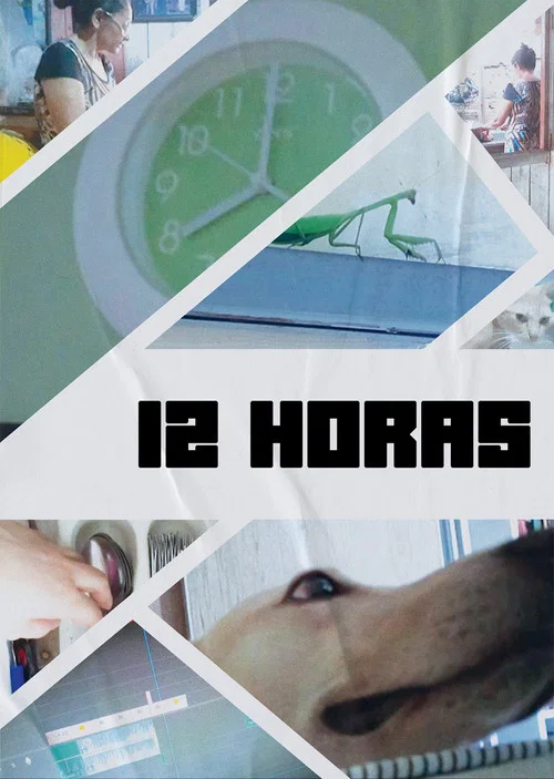 12 Horas постер