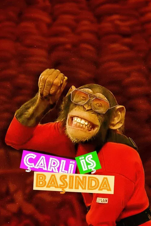 Çarli İş Başında постер