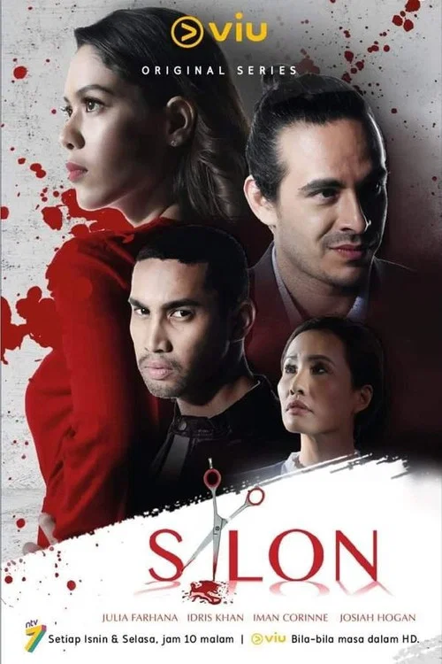 Salon постер