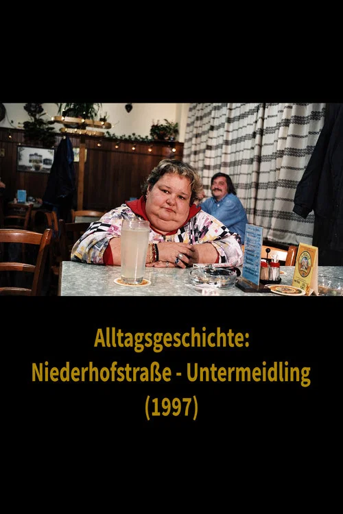 Alltagsgeschichte – Niederhofstraße Untermeidling постер