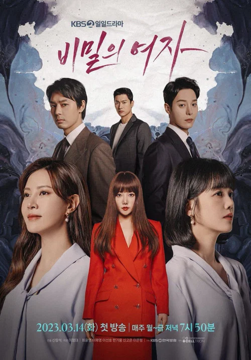 비밀의 여자 постер