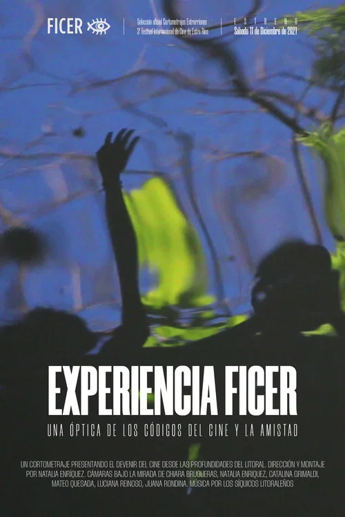 Experiencia FICER постер