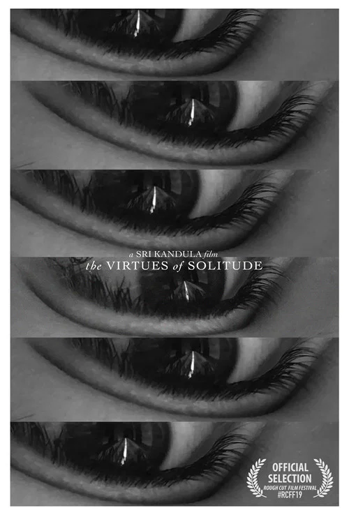 The Virtues of Solitude постер