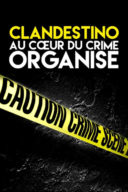 Clandestino постер