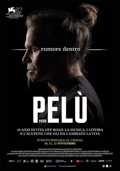 Piero Pelù - Rumore dentro постер