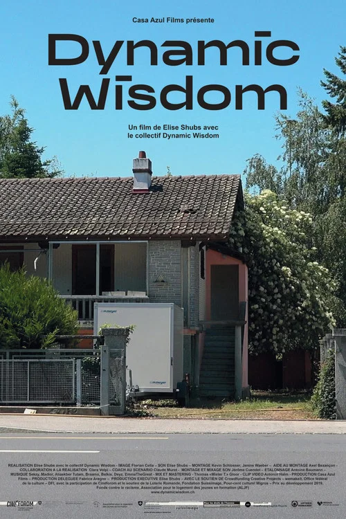 Dynamic Wisdom постер