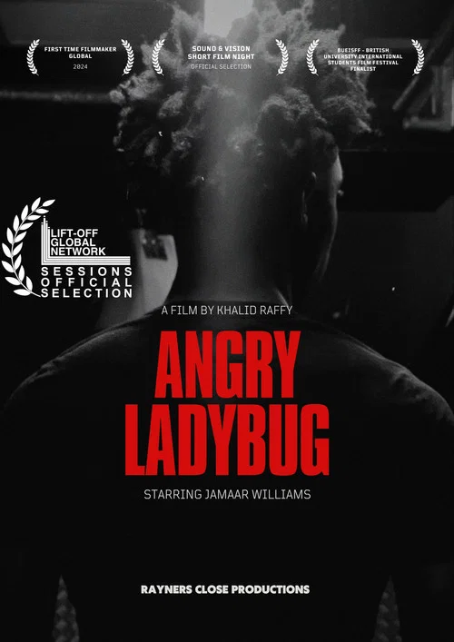 Angry Ladybug постер