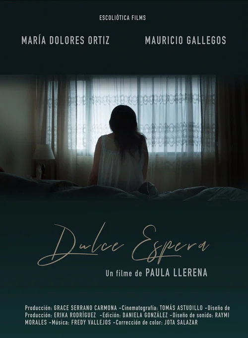 Dulce espera постер