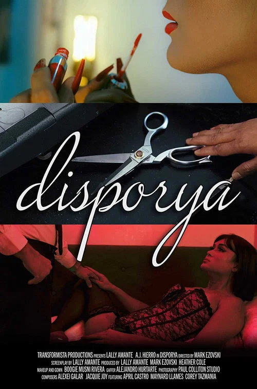 Disporya постер