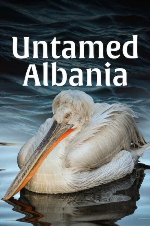 Untamed Albania постер
