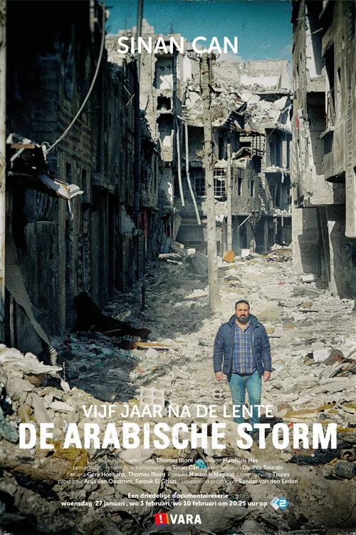 De Arabische Storm постер