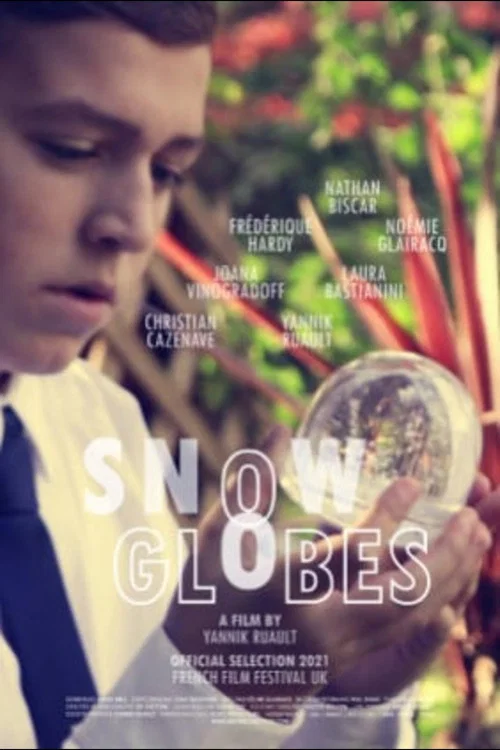 Snowglobes постер