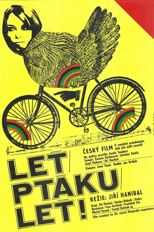Leť, ptáku leť! постер