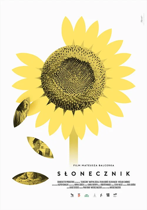 Słonecznik постер