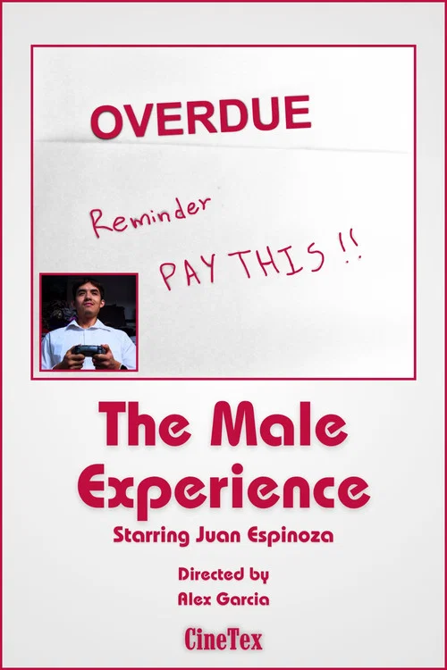 The Male Experience постер