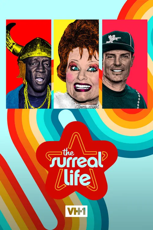 The Surreal Life постер