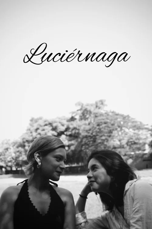 Luciérnaga постер