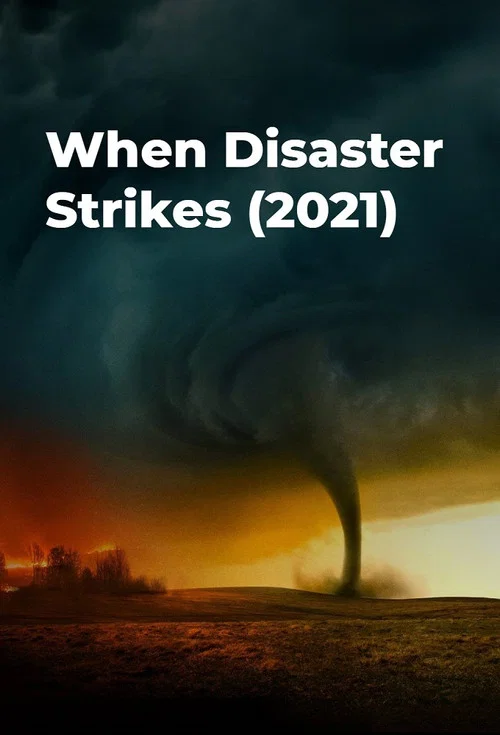 When Disaster Strikes постер