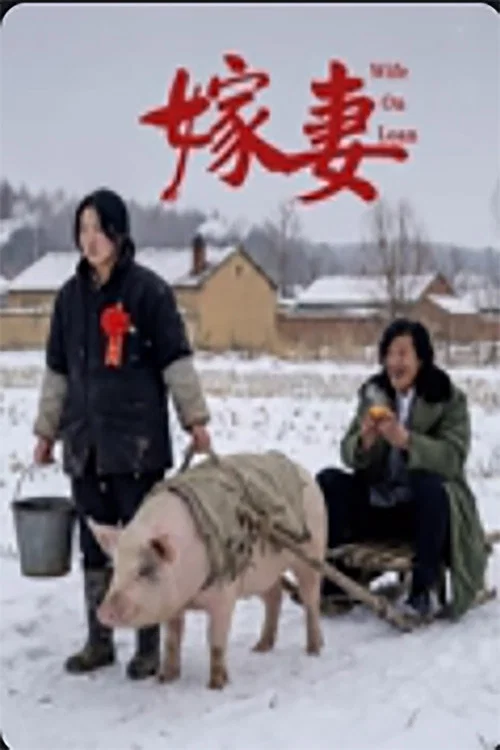 嫁妻 постер