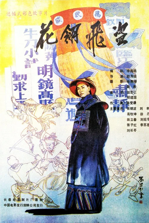 花翎飞盗 постер