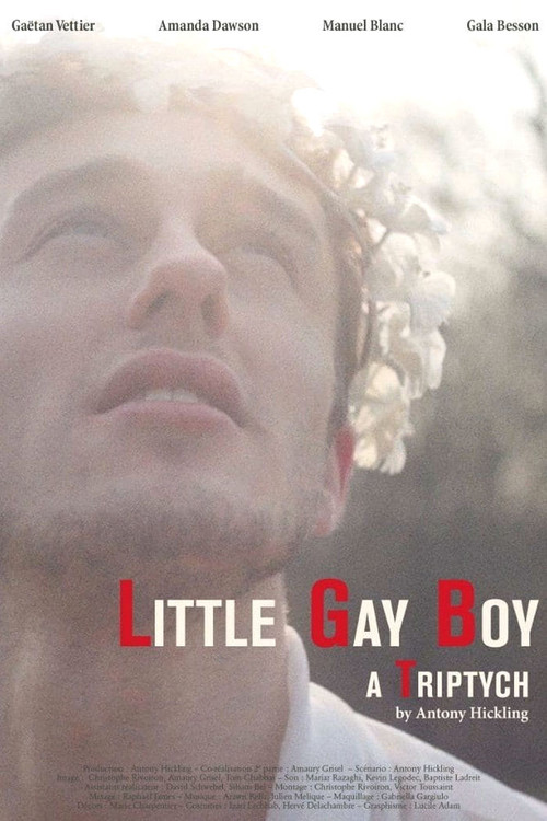 Little Gay Boy постер