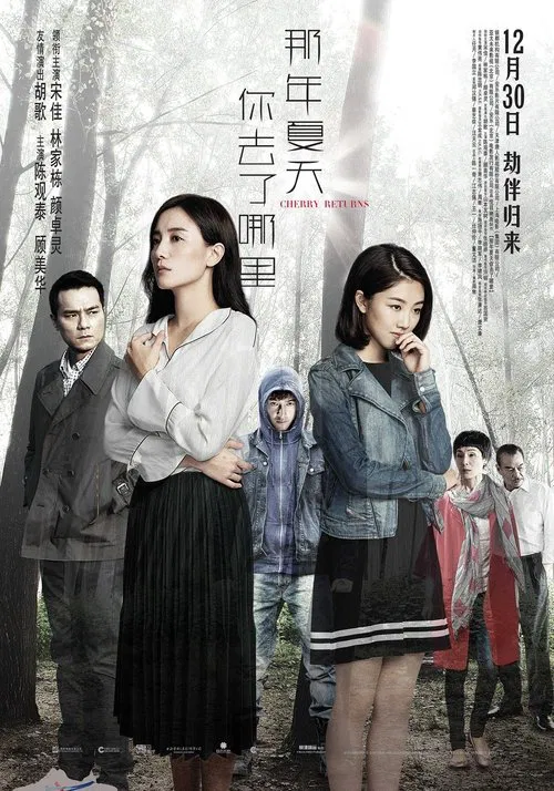 那年夏天你去了哪裡 постер
