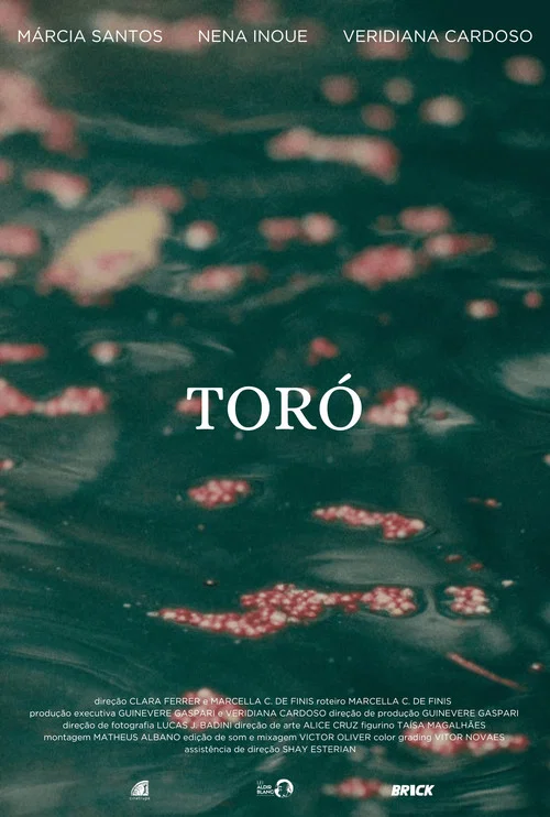 Toró постер