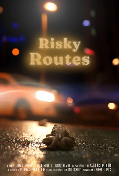 Risky Routes постер
