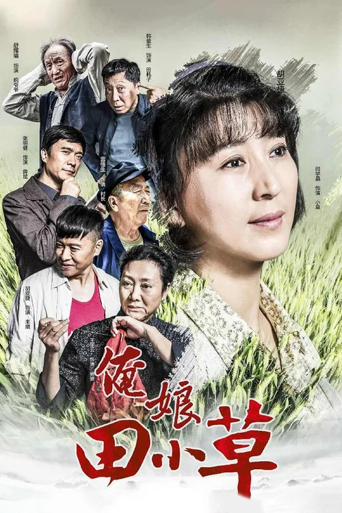 俺娘田小草 постер