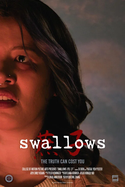 swallows燕子 постер