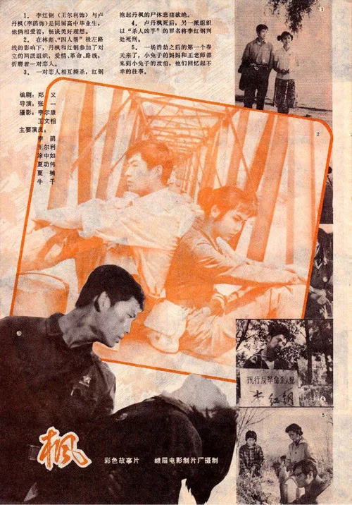 枫 постер